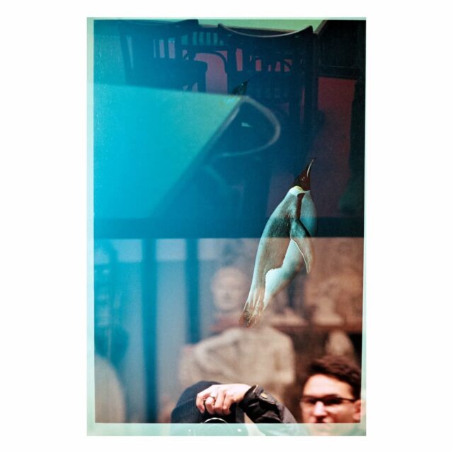 Swap 3 par Will et Nadia, allias @buceow & @souvenirs_sur_pellicules
Swap 5 en cours !!
#35mm #filmswap #filmisnotdead #analoguephotography #filmcamera #filmphotography #lesargenticos #zefilmsquad #analogphotography #kodak #picoftheday #filmisnotdead
#unmegawattparmetrecarre #filmisalive #argentique #analogcommunity #doubleexposureonfilm #doubleexposure #analogdoubleexposure #doubleexposition #collectifswap #nospelliculesvoyages #noiretblancphotographie #noiretblanc